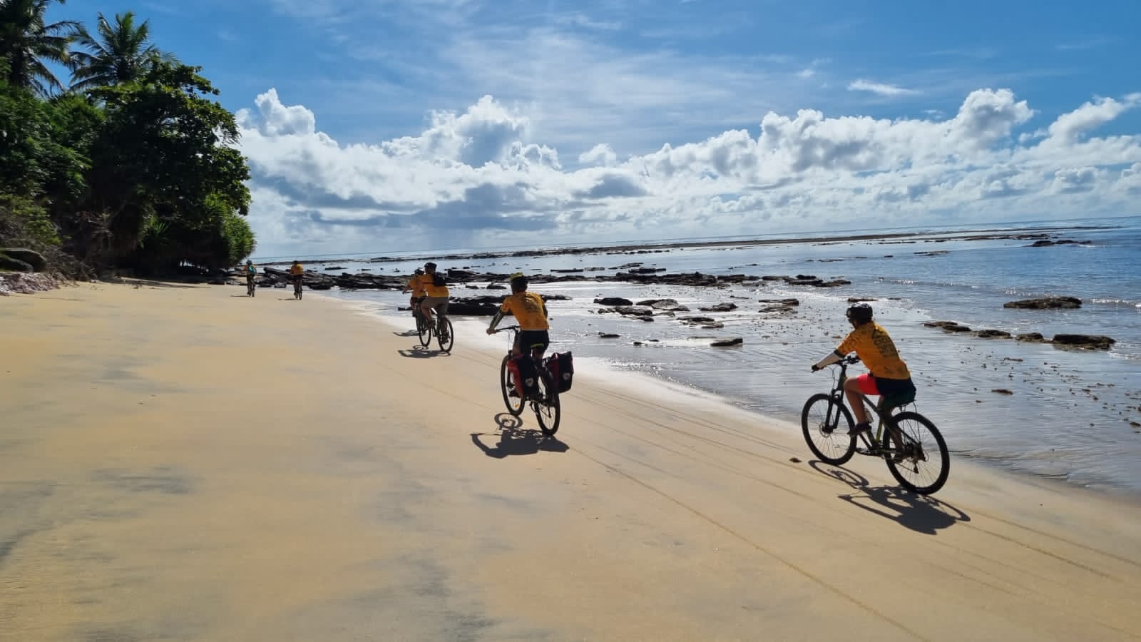 65e3db6a-564e-4052-b767-1c4daf0c2e47