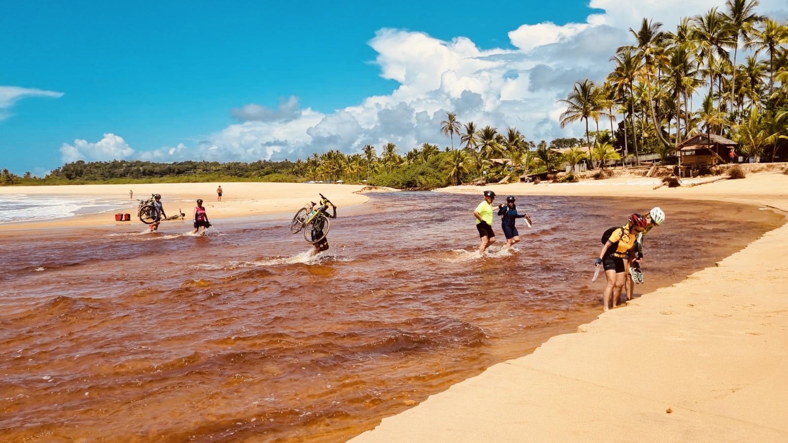 d721f45d-c1ea-4e10-9a3b-5e3b5b06331a